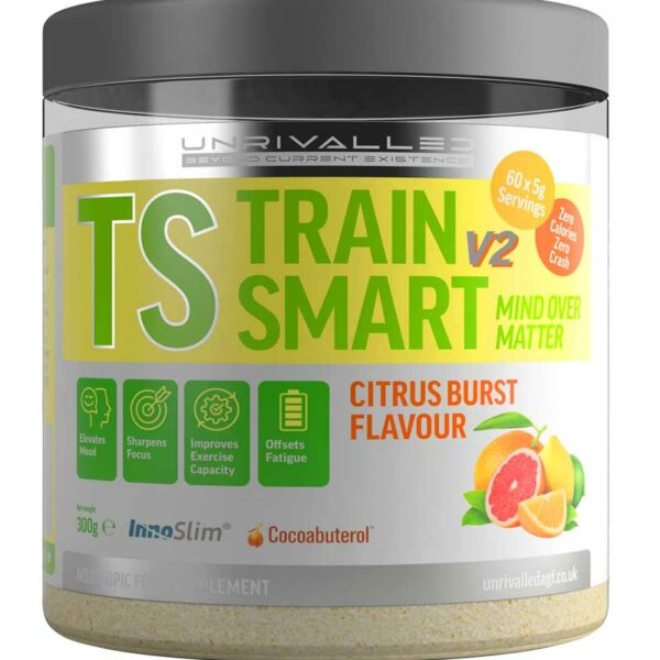 Train Smart V2 - Citrus Burst - 300g